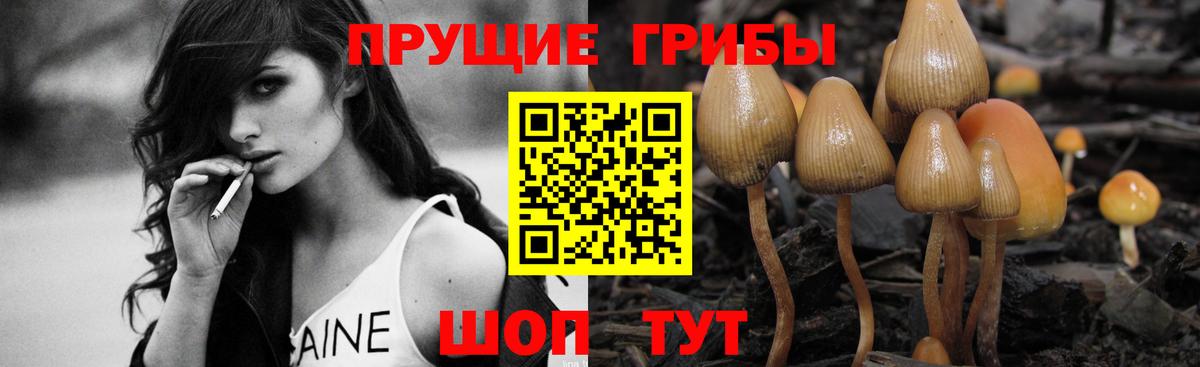 Великие Луки  Галлюциногенные грибы прущие грибы  где купить наркотик  Вход с VPN 